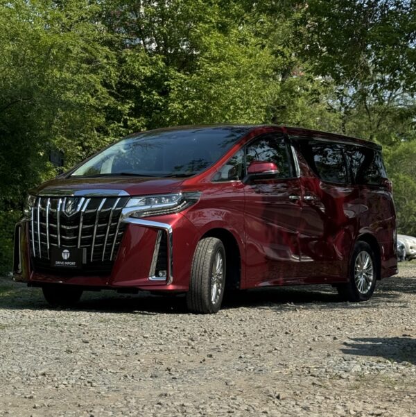 Toyota Alphard G F Package 4WD — изображение 2