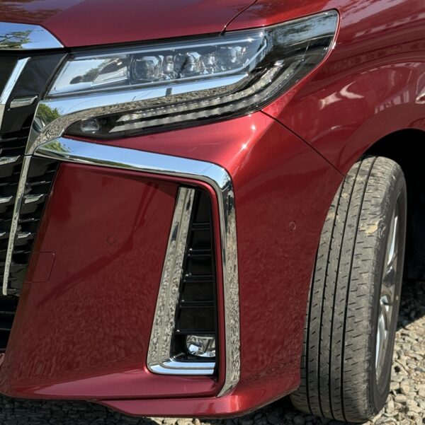 Toyota Alphard G F Package 4WD — изображение 3