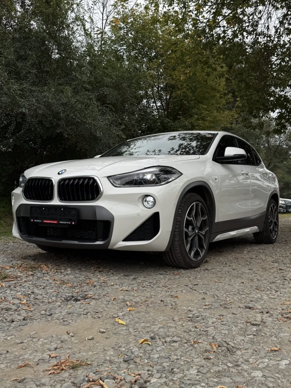 BMW X2 2019 из Японии